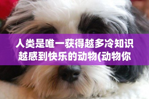 人類是唯一獲得越多冷知識越感到快樂的動物(動物你不知道的冷知識) 
