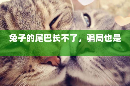 兔子的尾巴長不了，騙局也是 