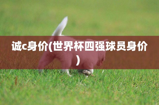 誠c身價(世界杯四強球員身價) 