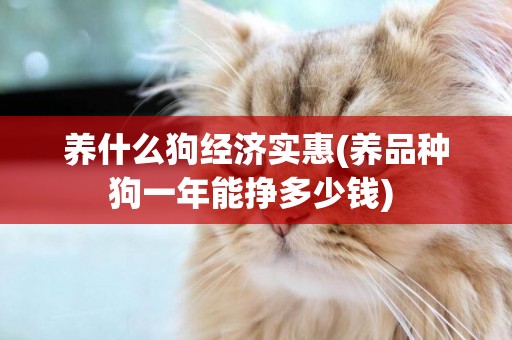 養什么狗經濟實惠(養品種狗一年能掙多少錢) 