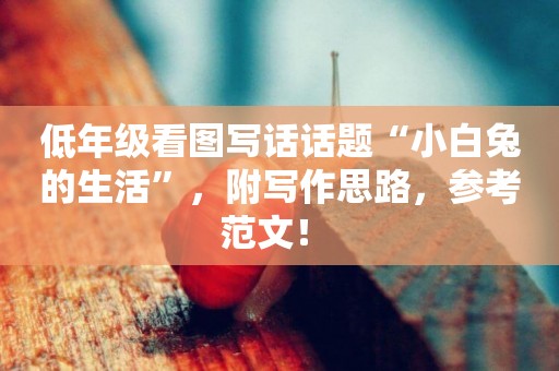 低年級看圖寫話話題“小白兔的生活”，附寫作思路，參考范文！ 