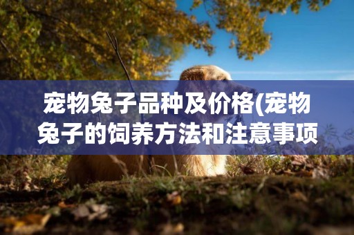 寵物兔子品種及價格(寵物兔子的飼養方法和注意事項) 