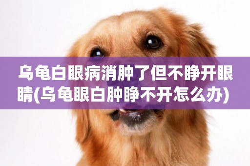 烏龜白眼病消腫了但不睜開眼睛(烏龜眼白腫睜不開怎么辦) 