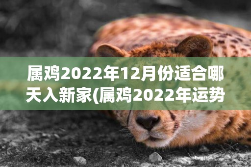 屬雞2022年12月份適合哪天入新家(屬雞2022年運勢及運程每月運程) 