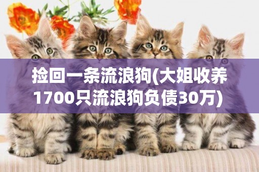 撿回一條流浪狗(大姐收養1700只流浪狗負債30萬) 