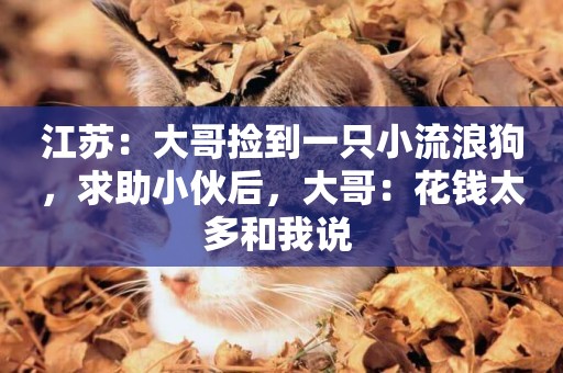 江蘇：大哥撿到一只小流浪狗，求助小伙后，大哥：花錢太多和我說 