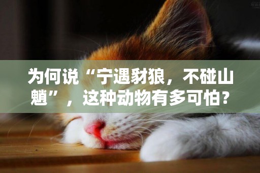 為何說“寧遇豺狼，不碰山魈”，這種動物有多可怕？我國有嗎？ 