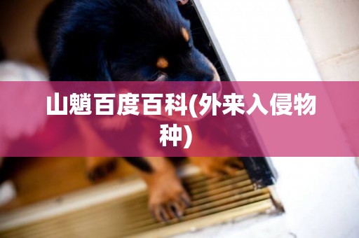 山魈百度百科(外來入侵物種) 