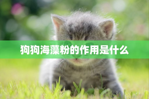 狗狗海藻粉的作用是什么