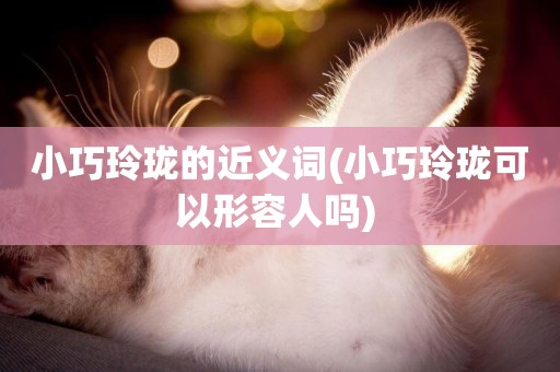 小巧玲瓏的近義詞(小巧玲瓏可以形容人嗎) 