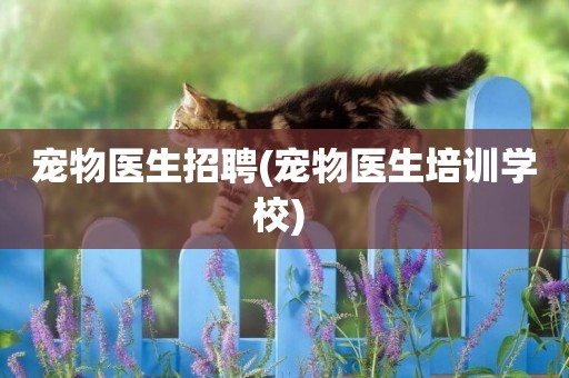 寵物醫生招聘(寵物醫生培訓學校) 