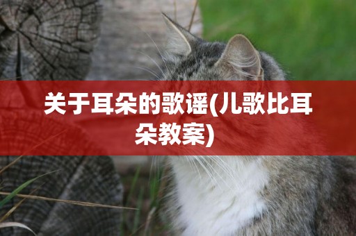 關于耳朵的歌謠(兒歌比耳朵教案) 