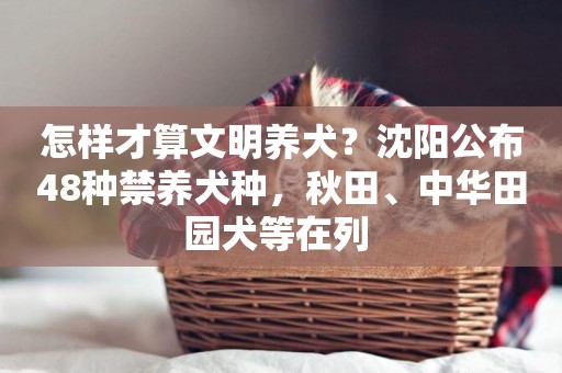 怎樣才算文明養犬？沈陽公布48種禁養犬種，秋田、中華田園犬等在列 