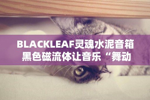 BLACKLEAF靈魂水泥音箱 黑色磁流體讓音樂“舞動”起來 