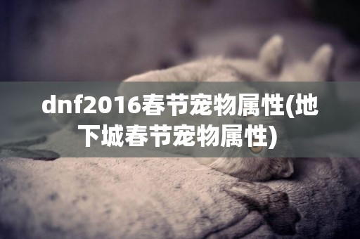 dnf2016春節寵物屬性(地下城春節寵物屬性) 
