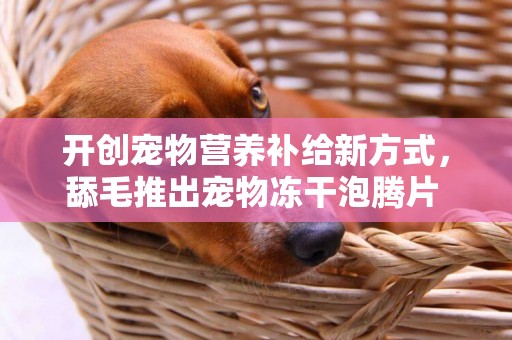開創寵物營養補給新方式，舔毛推出寵物凍干泡騰片 