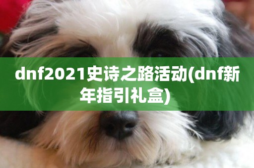 dnf2021史詩之路活動(dnf新年指引禮盒) 