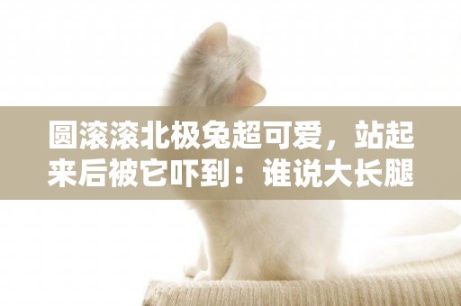 圓滾滾北極兔超可愛，站起來后被它嚇到：誰說大長腿很性感的 