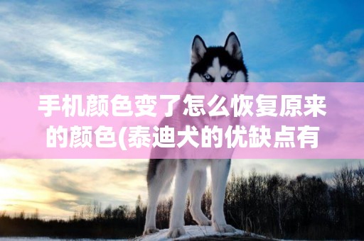 手機顏色變了怎么恢復原來的顏色(泰迪犬的優缺點有哪些) 
