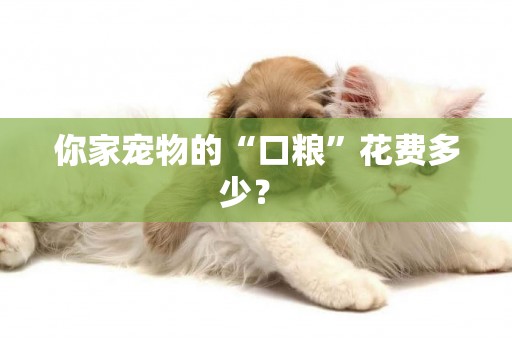 你家寵物的“口糧”花費多少？ 