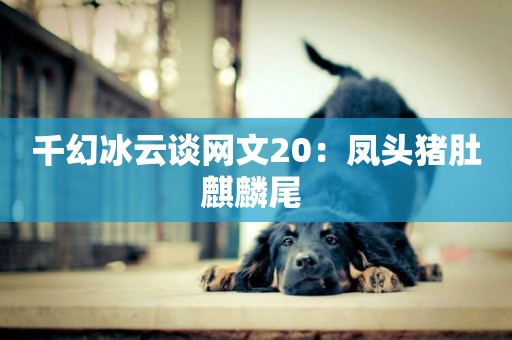 千幻冰云談網文20：鳳頭豬肚麒麟尾 