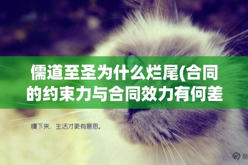 儒道至圣為什么爛尾(合同的約束力與合同效力有何差異?) 