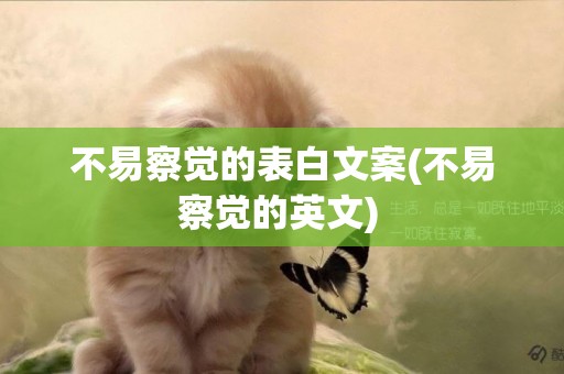 不易察覺的表白文案(不易察覺的英文) 