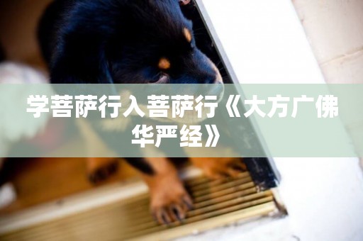 學菩薩行入菩薩行《大方廣佛華嚴經》 