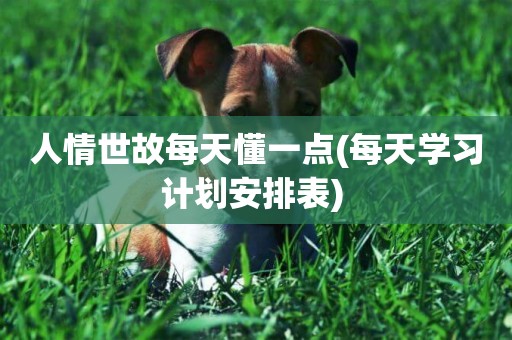 人情世故每天懂一點(每天學習計劃安排表) 