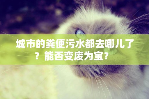 城市的糞便污水都去哪兒了？能否變廢為寶？ 