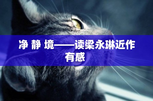 凈 靜 境——讀梁永琳近作有感 
