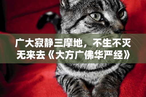 廣大寂靜三摩地，不生不滅無來去《大方廣佛華嚴經》 