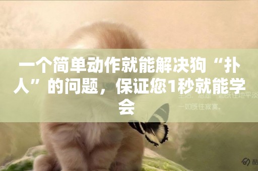 一個簡單動作就能解決狗“撲人”的問題，保證您1秒就能學會 