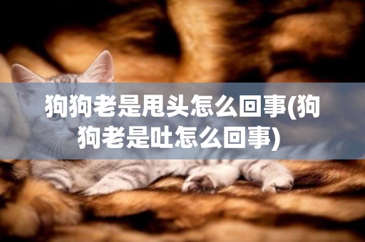 狗狗老是甩頭怎么回事(狗狗老是吐怎么回事) 