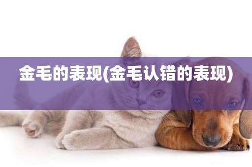 金毛的表現(金毛認錯的表現) 