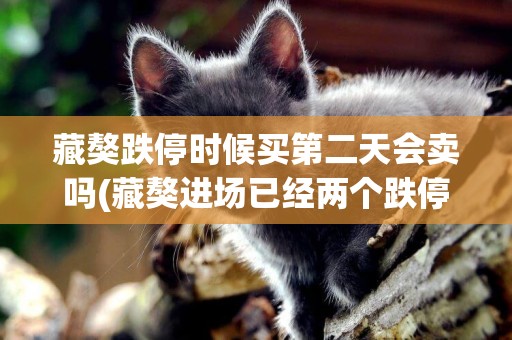 藏獒跌停時候買第二天會賣嗎(藏獒進場已經兩個跌停了) 