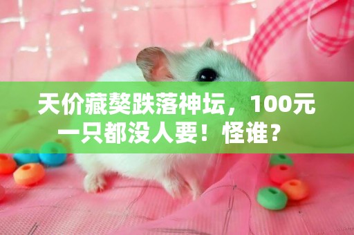 天價藏獒跌落神壇，100元一只都沒人要！怪誰？ 