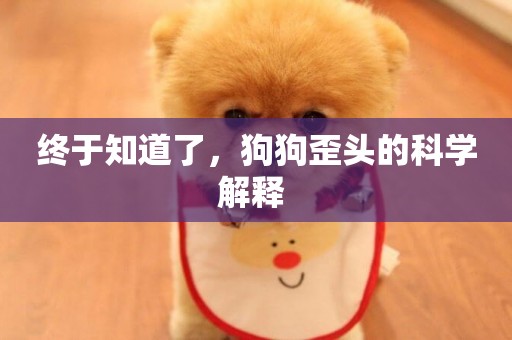 終于知道了，狗狗歪頭的科學解釋 