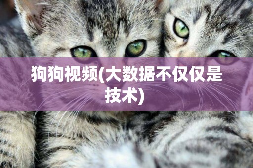 狗狗視頻(大數據不僅僅是技術) 