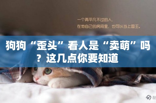 狗狗“歪頭”看人是“賣萌”嗎？這幾點你要知道 