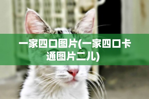 一家四口圖片(一家四口卡通圖片二兒) 