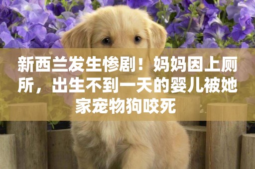 新西蘭發生慘劇！媽媽因上廁所，出生不到一天的嬰兒被她家寵物狗咬死 