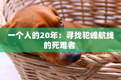 一個人的20年：尋找駝峰航線的死難者 