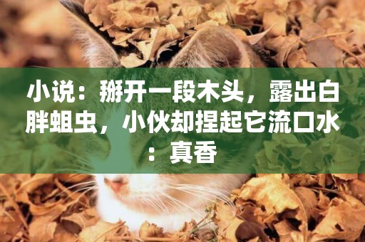 小說：掰開一段木頭，露出白胖蛆蟲，小伙卻捏起它流口水：真香 