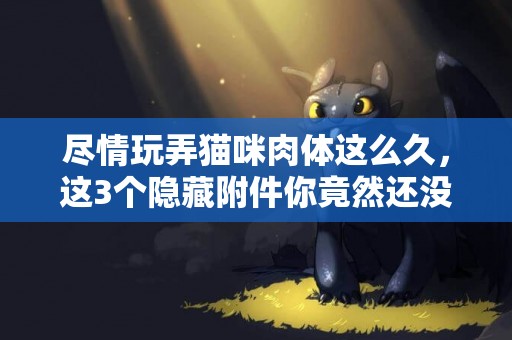 盡情玩弄貓咪肉體這么久，這3個隱藏附件你竟然還沒發現？ 