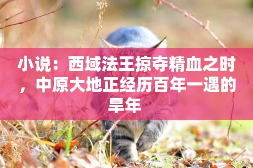小說：西域法王掠奪精血之時，中原大地正經歷百年一遇的旱年 