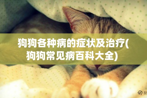 狗狗各種病的癥狀及治療(狗狗常見病百科大全) 