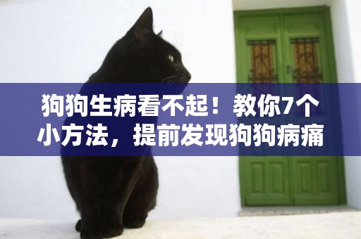 狗狗生病看不起！教你7個小方法，提前發現狗狗病痛所在 