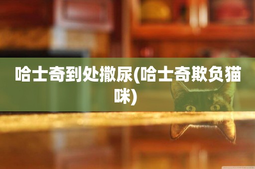哈士奇到處撒尿(哈士奇欺負貓咪) 