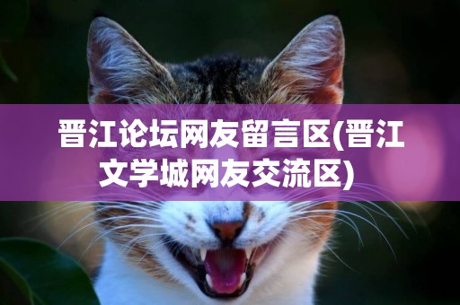 晉江論壇網友留言區(晉江文學城網友交流區) 